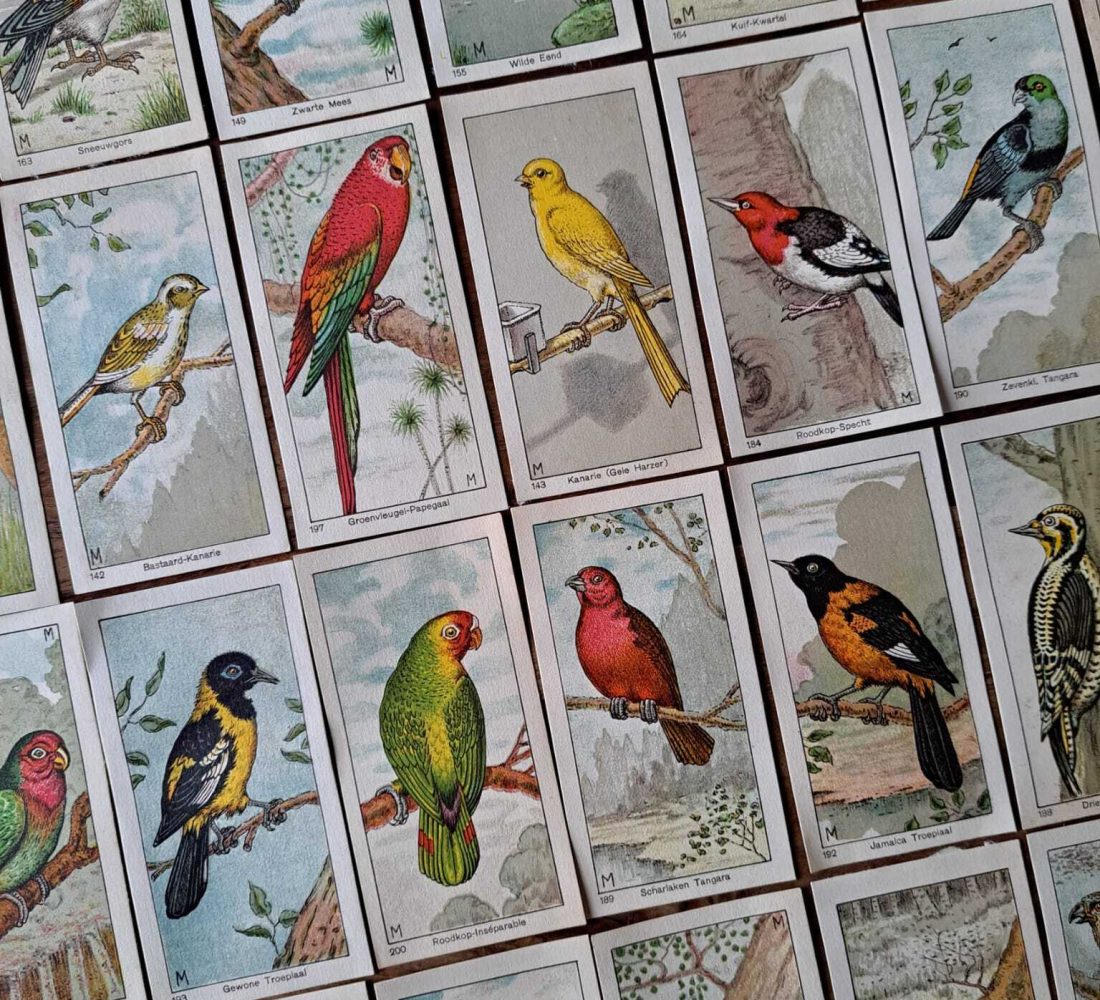 Vintage & Antique Prints